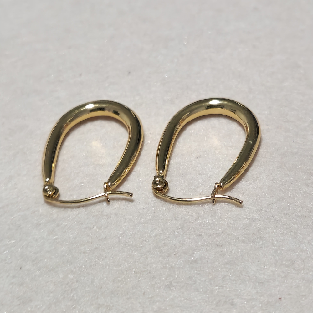 Elegant Gold Hoop Earrings